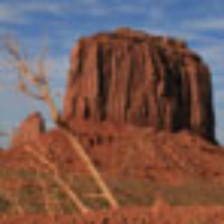 Pizzeria Artigianale di Giampiero Orlandini